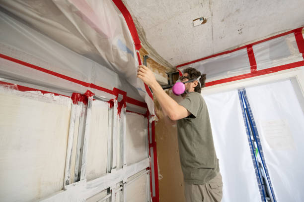 Best Mold Prevention Services  in Waimea, HI