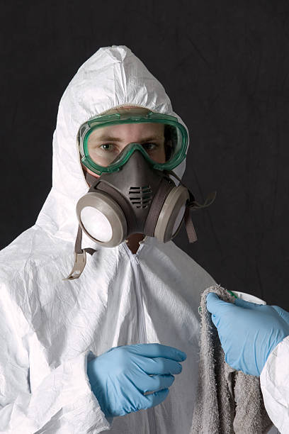 Best Commercial Mold Inspection  in Waimea, HI